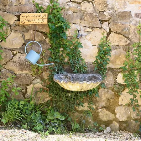 Il Campo Degli Ulivi *